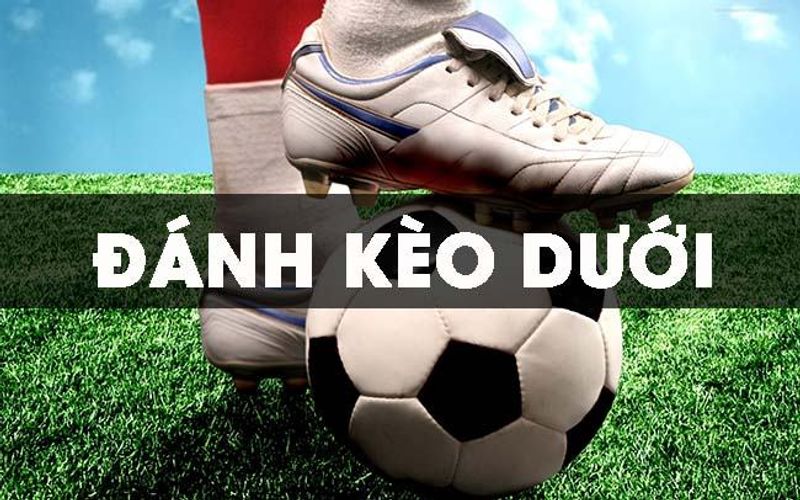 Hướng Dẫn Cách Chơi Kèo Dưới Hiệu Quả Cho Newbie