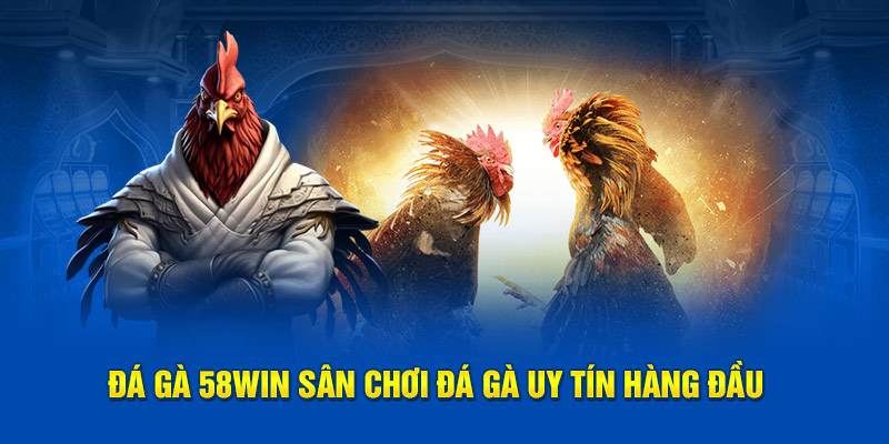 Hướng Dẫn Tham Gia Cá Cược Đá Gà Tại 58WIN
