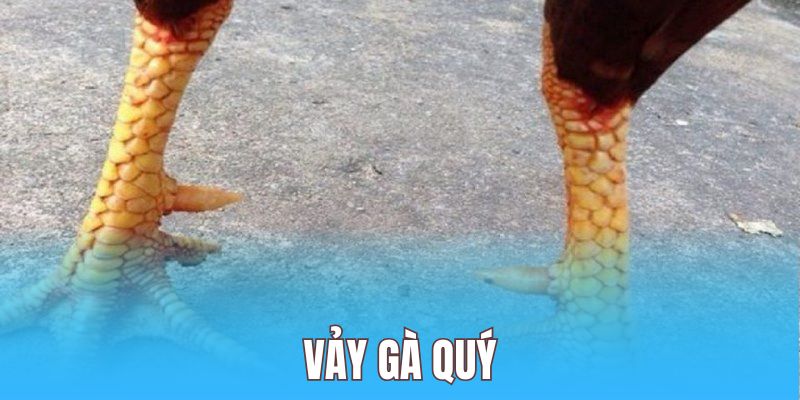 Các Đặc Điểm Chung Của Gà Thường Xuyên Chiến Thắng
